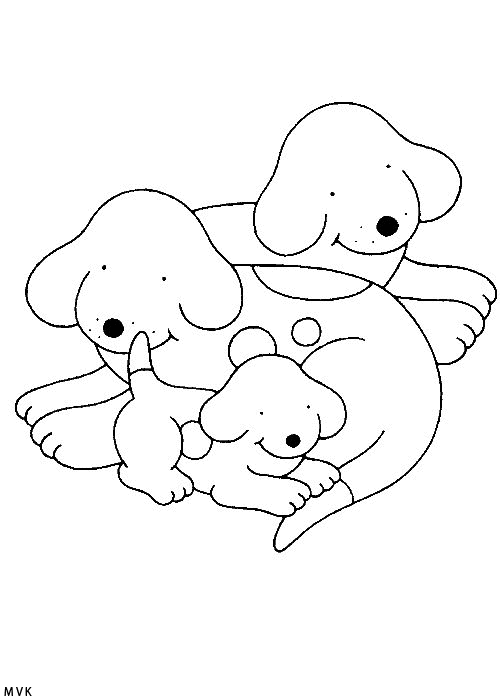 spot the dog014